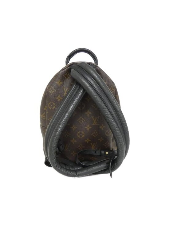 Louis Vuitton Monogram Palm Springs Backpack PM main image 3